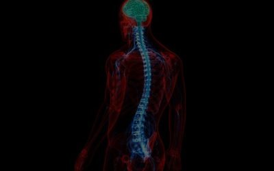 September is Spinal Cord Injury Awareness Month: Advocating for Safety and Support